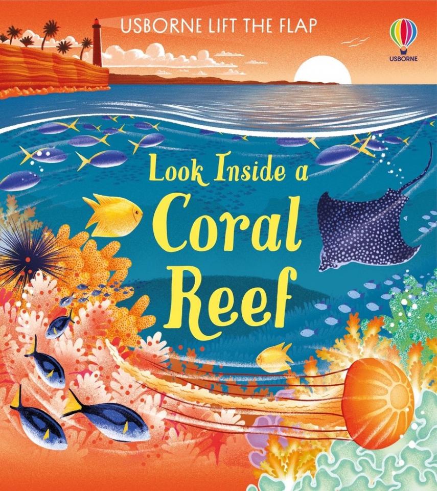 Usborne Lift the Flap Look Inside a Coral Reef 