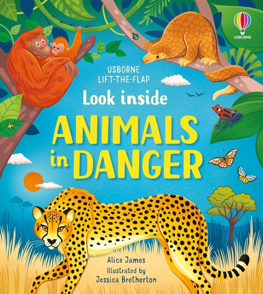 Usborne Lift the Flap Look Inside Animals in Danger 