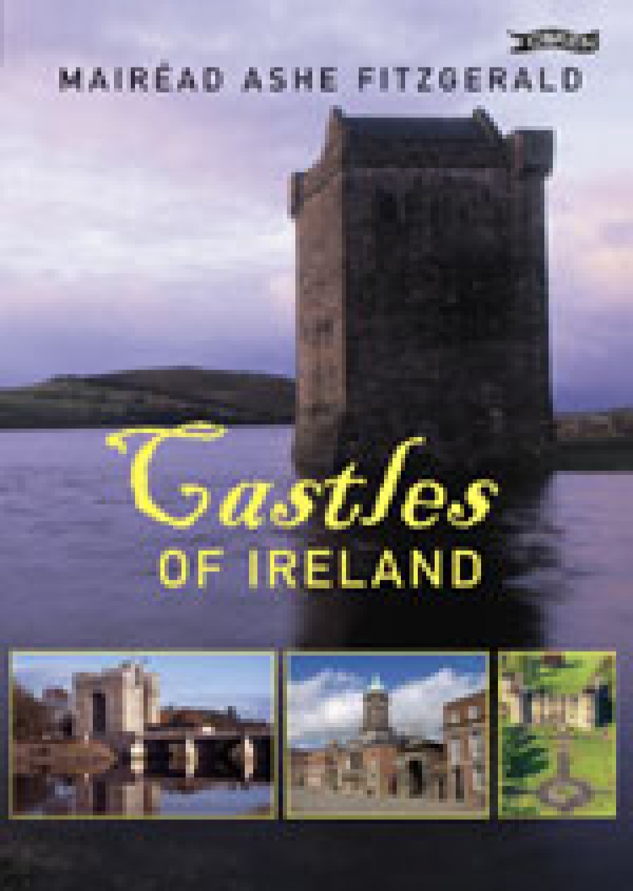 FitzGerald, M Castles of Ireland 