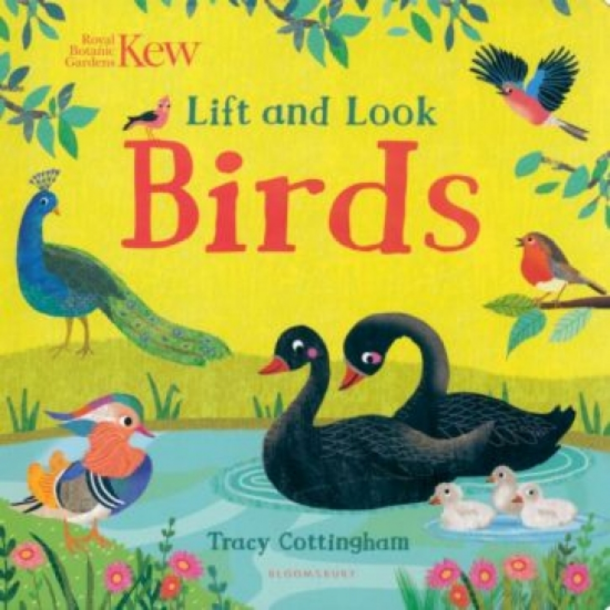 Cottingham Tracy Kew. Lift and Look Birds 