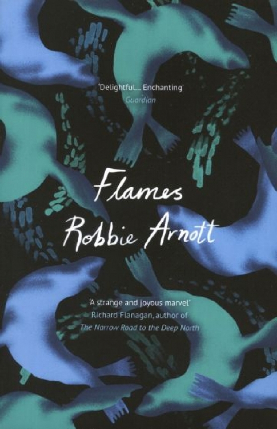 Arnott Robbie Flames 