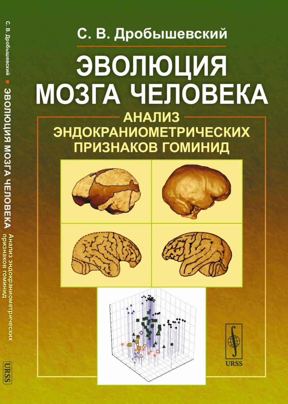 Дробышевский С.В. Эволюция мозга человека: Анализ эндокраниометрических признаков гоминид 