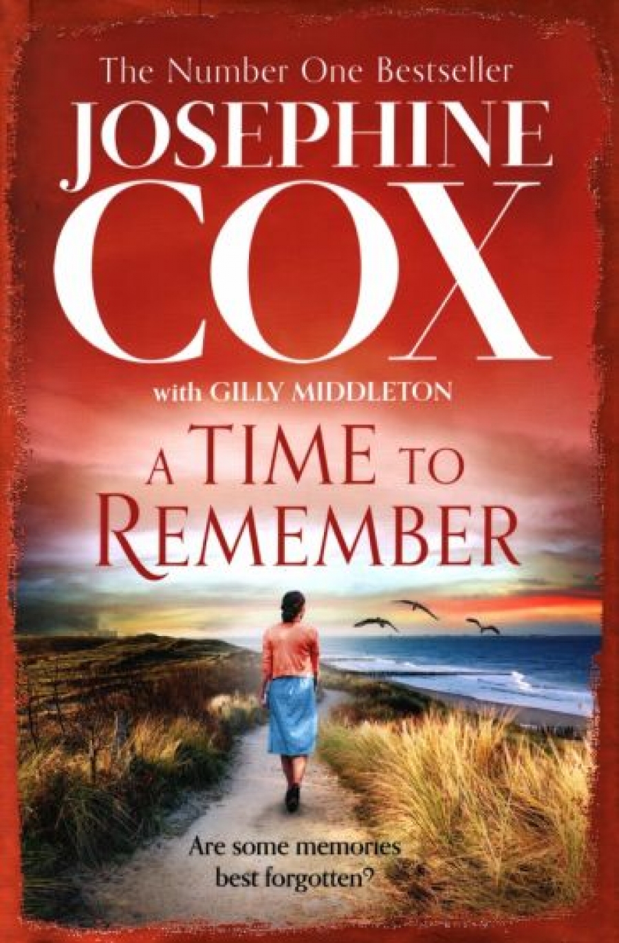 Cox Josephine A Time to Remember 