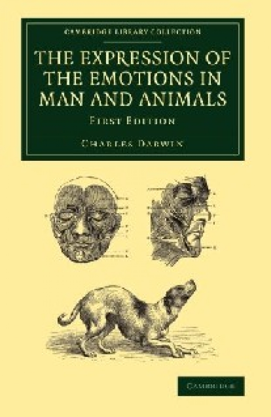 Darwin The Expression of the Emotions in Man and Animals 
