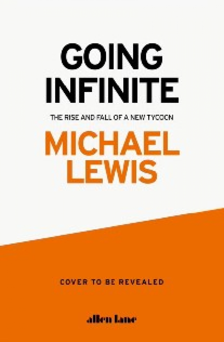 Lewis Michael Going Infinite 