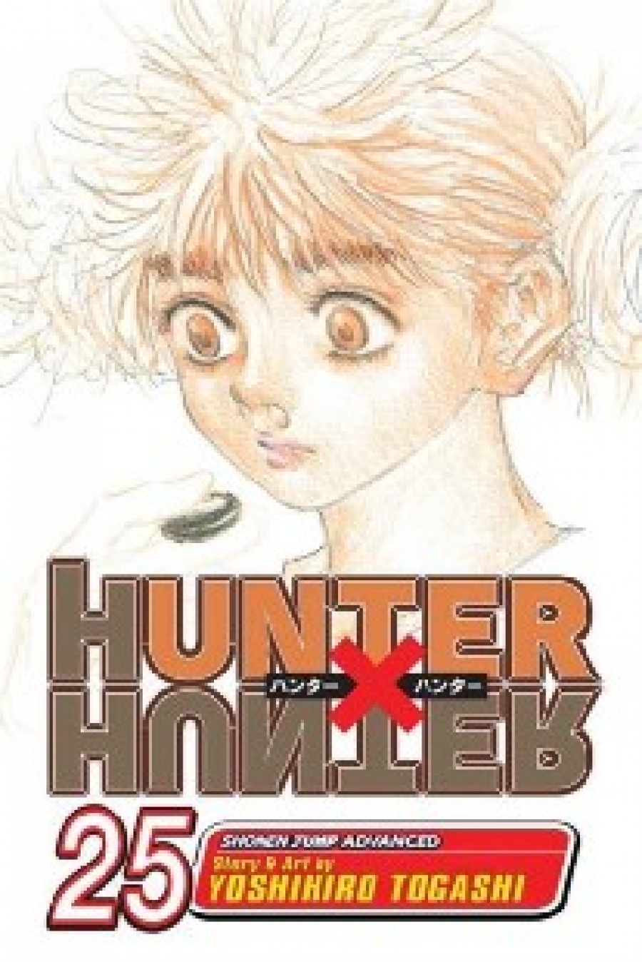 Togashi Yoshihiro Hunter X Hunter, Volume 25 