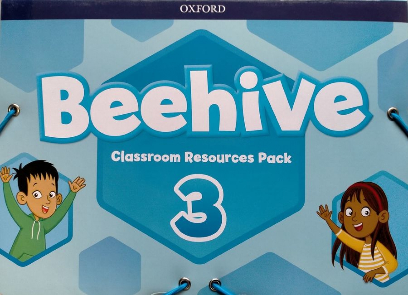 Cheryl Palin Beehive 3 Classroom Resources Pack 