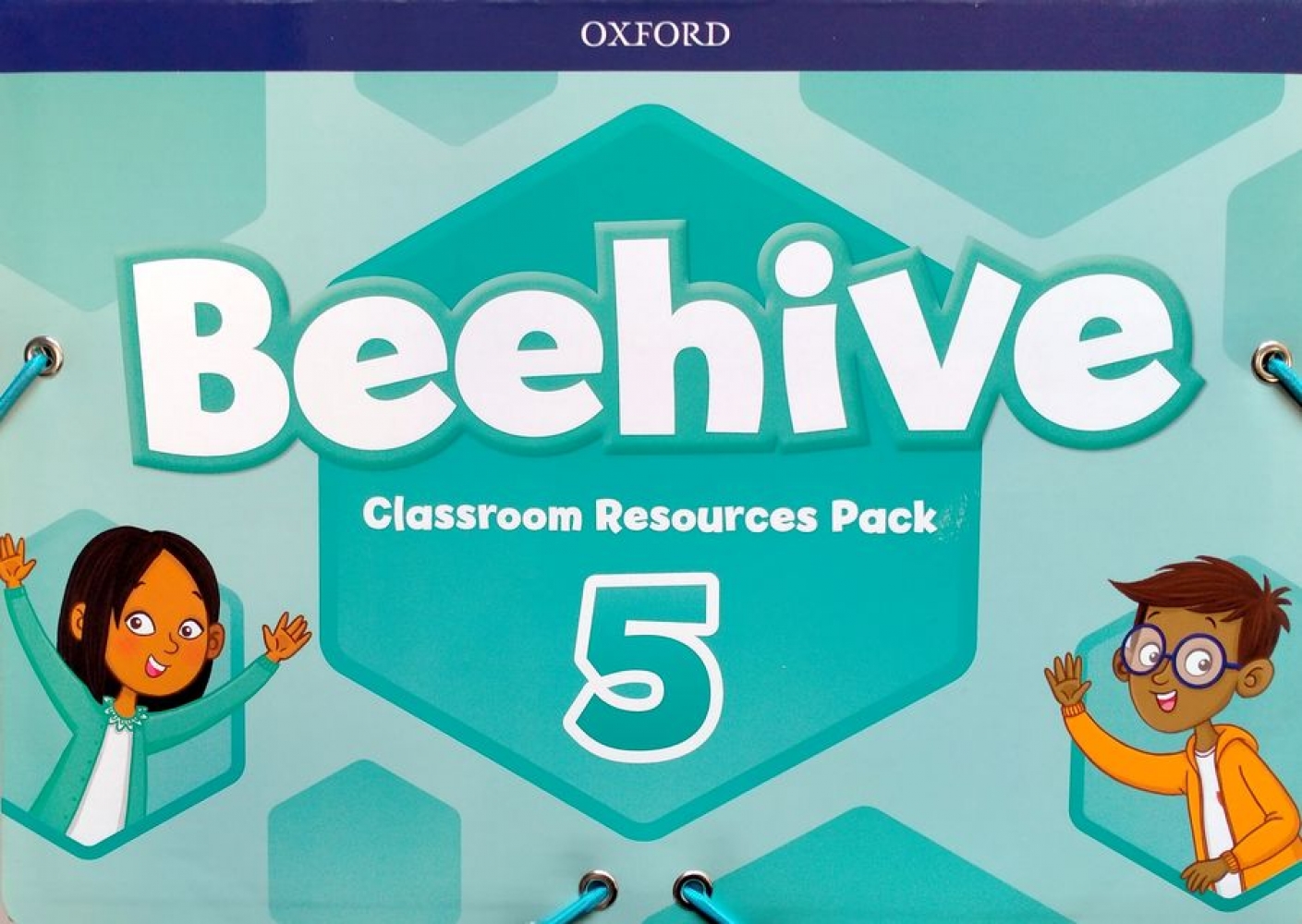 Cheryl Palin Beehive 5 Classroom Resources Pack 