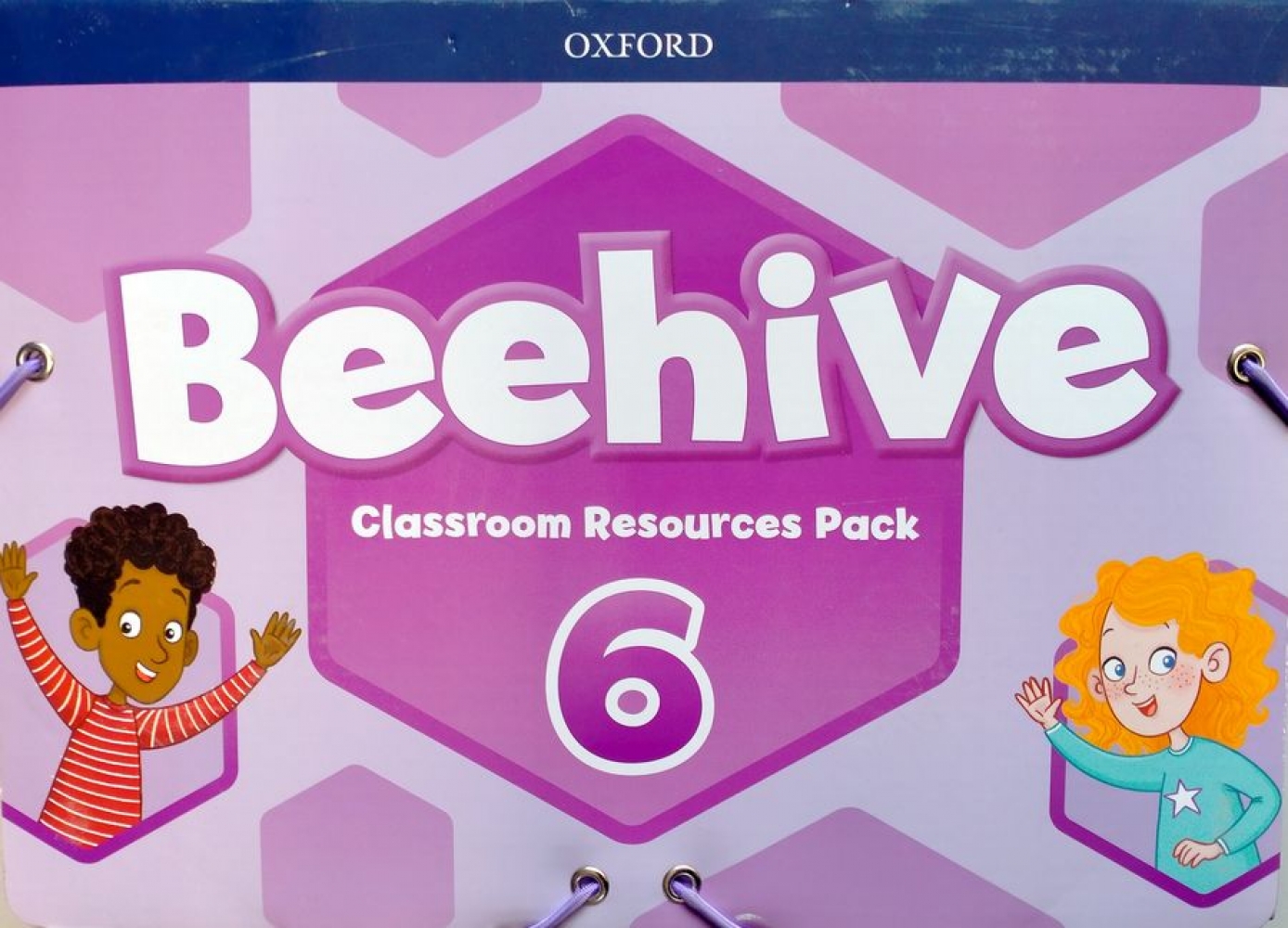 Cheryl Palin Beehive 6 Classroom Resources Pack 