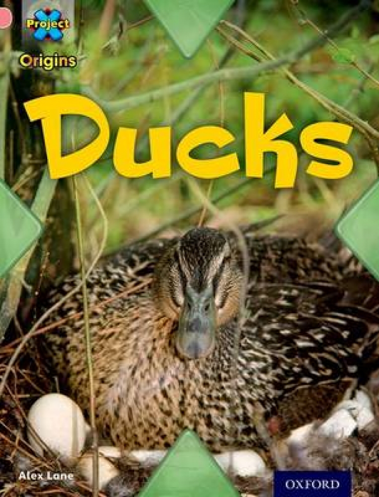 Project X Origins: Pink Book Band, Oxford Level 1+: My Family: Ducks 