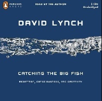David, Lynch Catching the Big Fish-Unabridged CDs 
