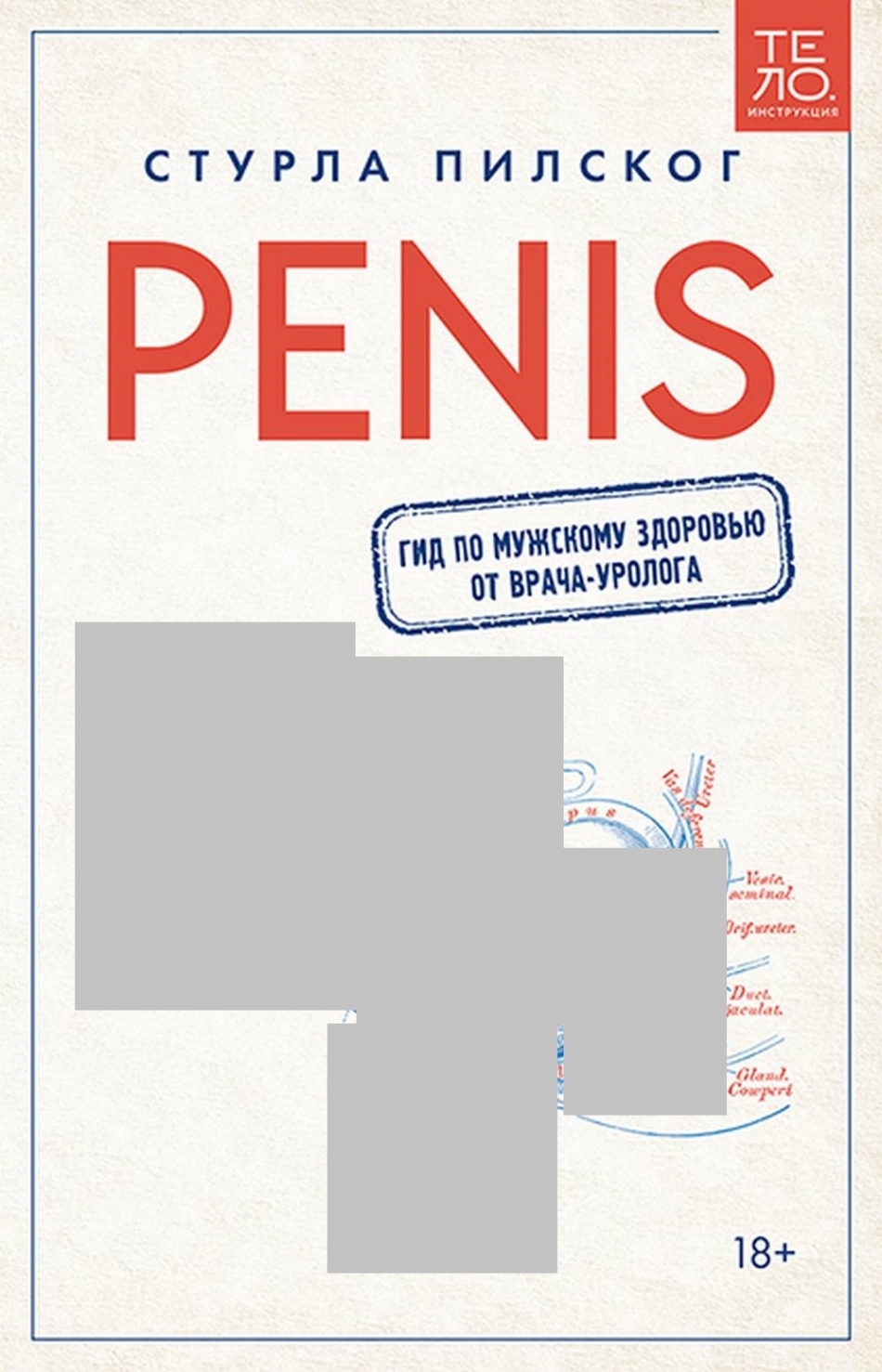  . Penis.      - 