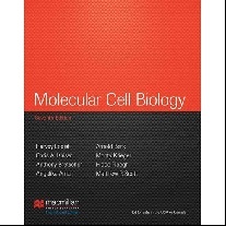 Lodish H. Molecular Cell  Biology. 7 ed. IE 