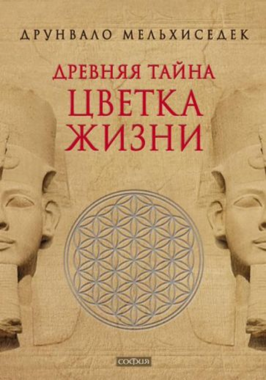Древняя тайна цветка жизни читать онлайн бесплатно полностью с рисунками