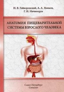Гайворонский И.В., Ничипорук Г.И., Якимов А.А. Анатомия пищеварительной системы взрослого человека 