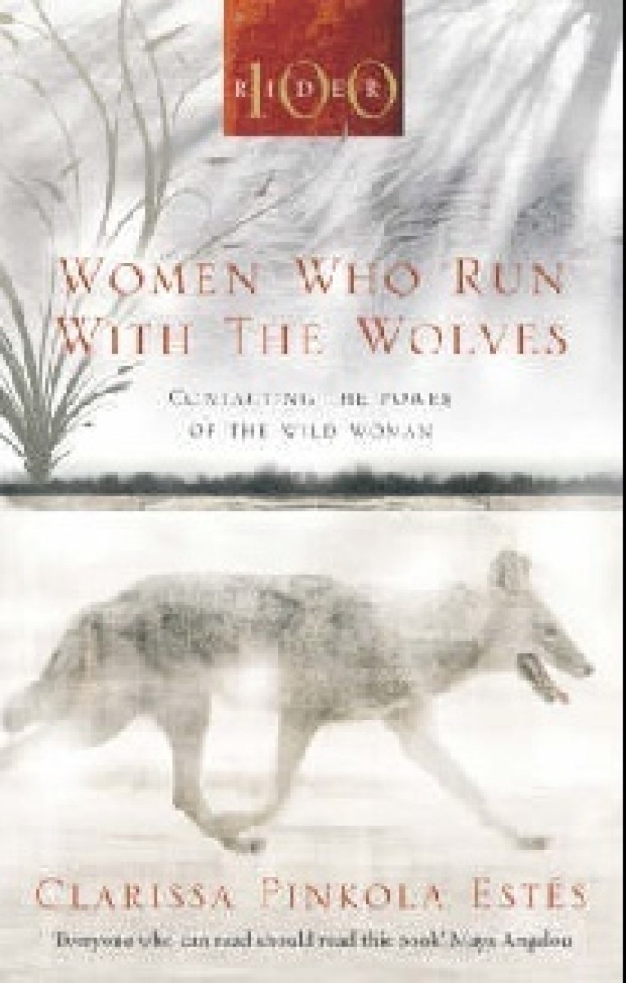 Estes, Clarissa Pinkola Women who run with the wolves 