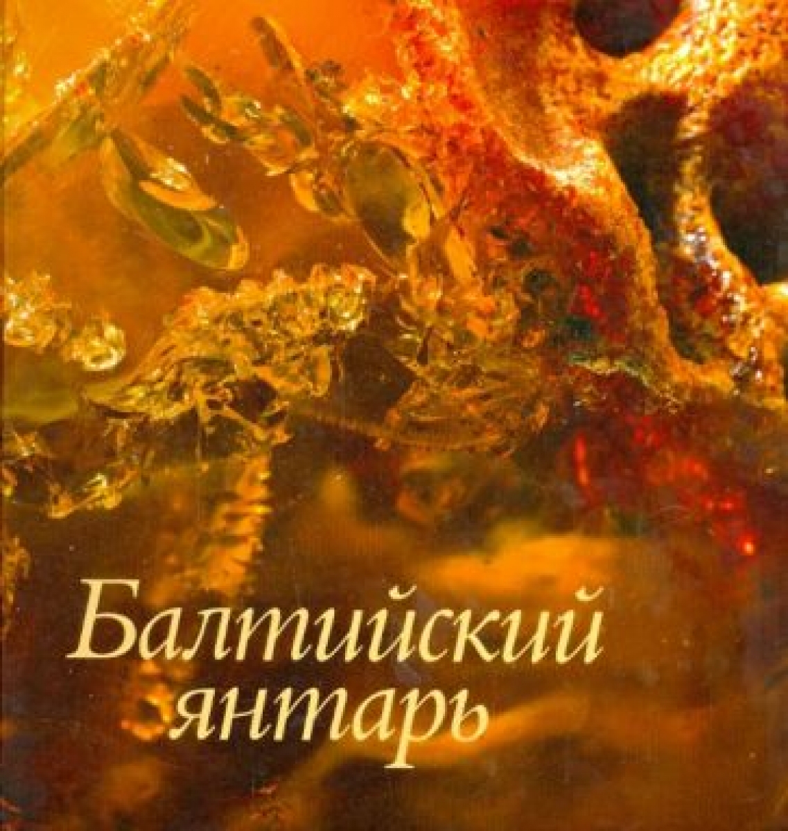 Балтийский янтарь из собрания Калининградского музея янтаря 