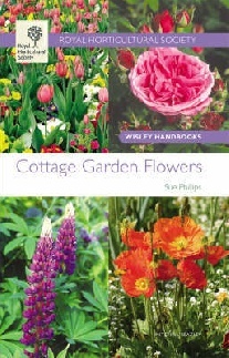 Sue, Philips Cottage garden flowers 