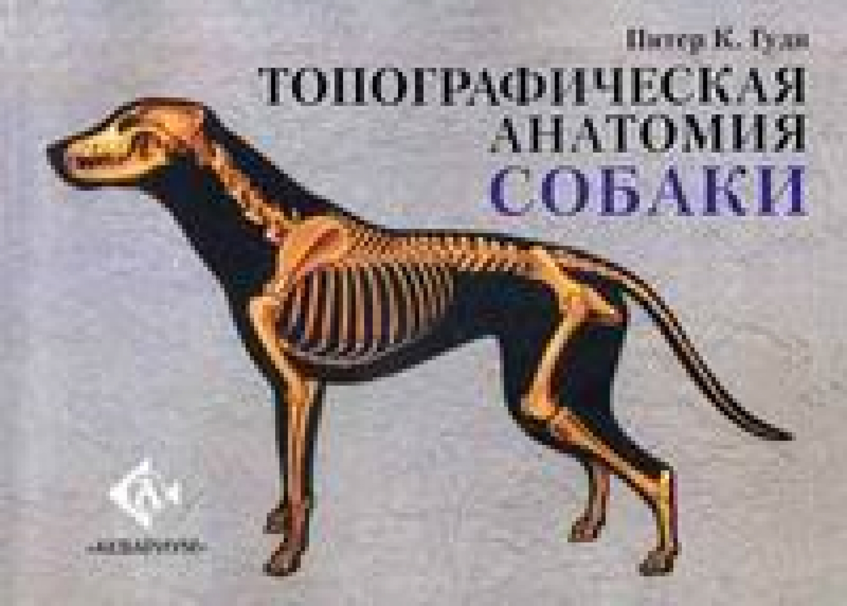 Гуди П.К. Топографическая анатомия собаки 