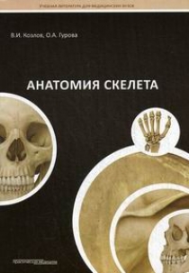 Козлов В.И., Гурова О.А. Анатомия скелета 