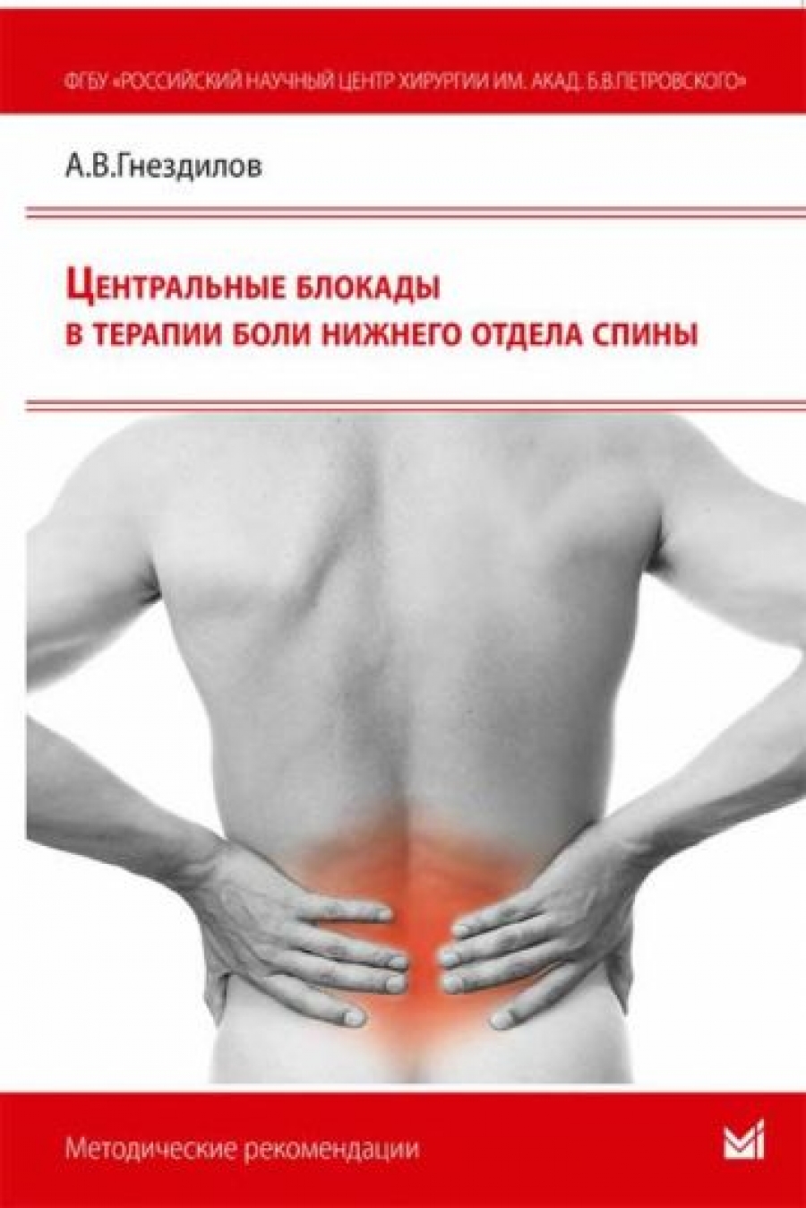 Гнездилов А.В. Центральные блокады в терапии боли нижнего отдела спины 