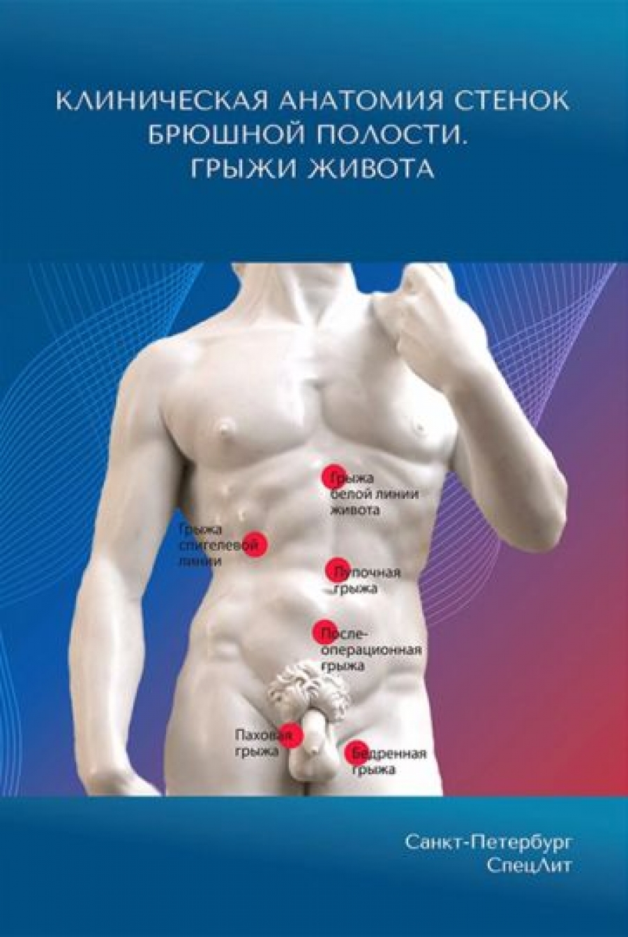 Гайворонский И.В., Синенченко Г.И., Милюков В.Е. Клиническая анатомия стенок брюшной полости. Грыжи живота 