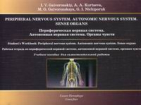 Гайворонский И.В., Гайворонская М.Г., Курцева А.А. Периферическая нервная система. Автономная нервная система. Органы чувств 