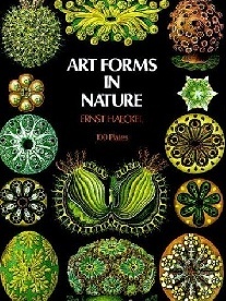 Haeckel E. Art Forms in Nature 
