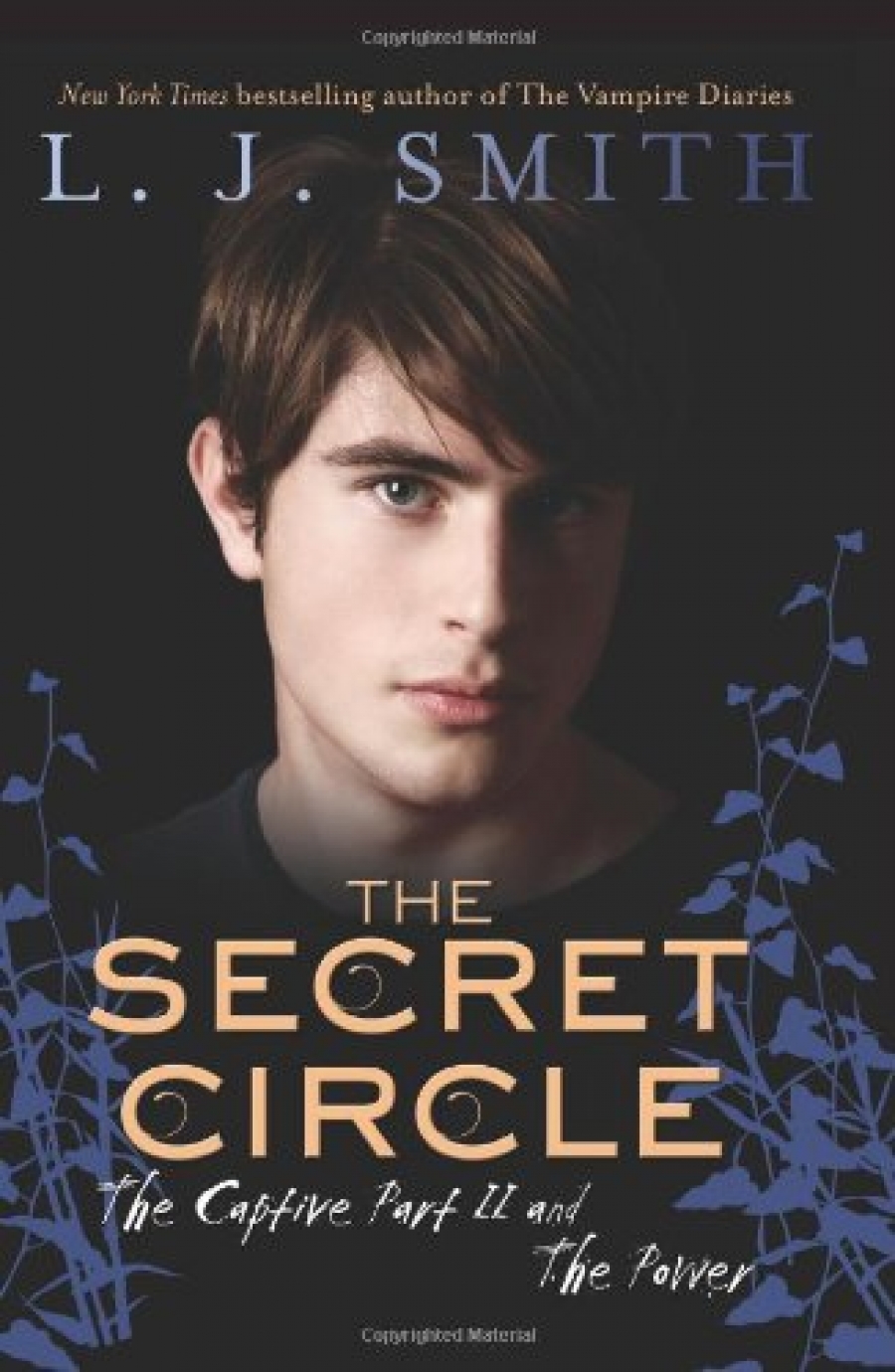 Smith, L.J. The Secret Circle: The Captive Part II and the Power 
