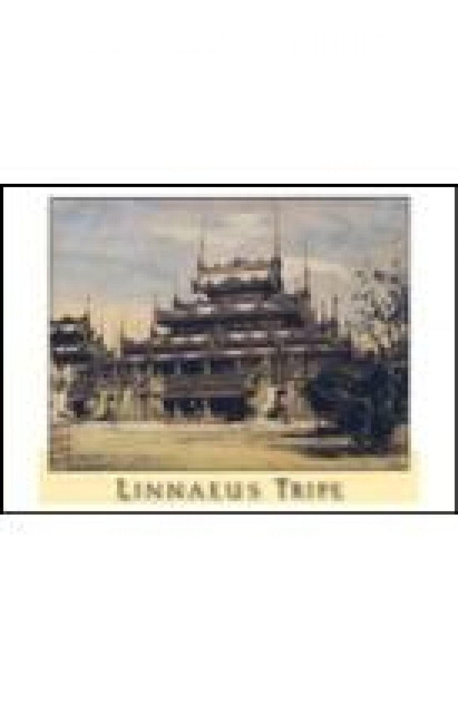 Art Gallery of Ontario Linnaeus Tripe: India and Burma. Notecards 