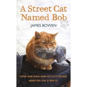 Bowen James A Street Cat Named Bob 