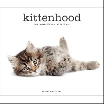 Sarah, Ernhart Kittenhood: Life-Size Portraits of Kittens in Their First 12 Weeks 