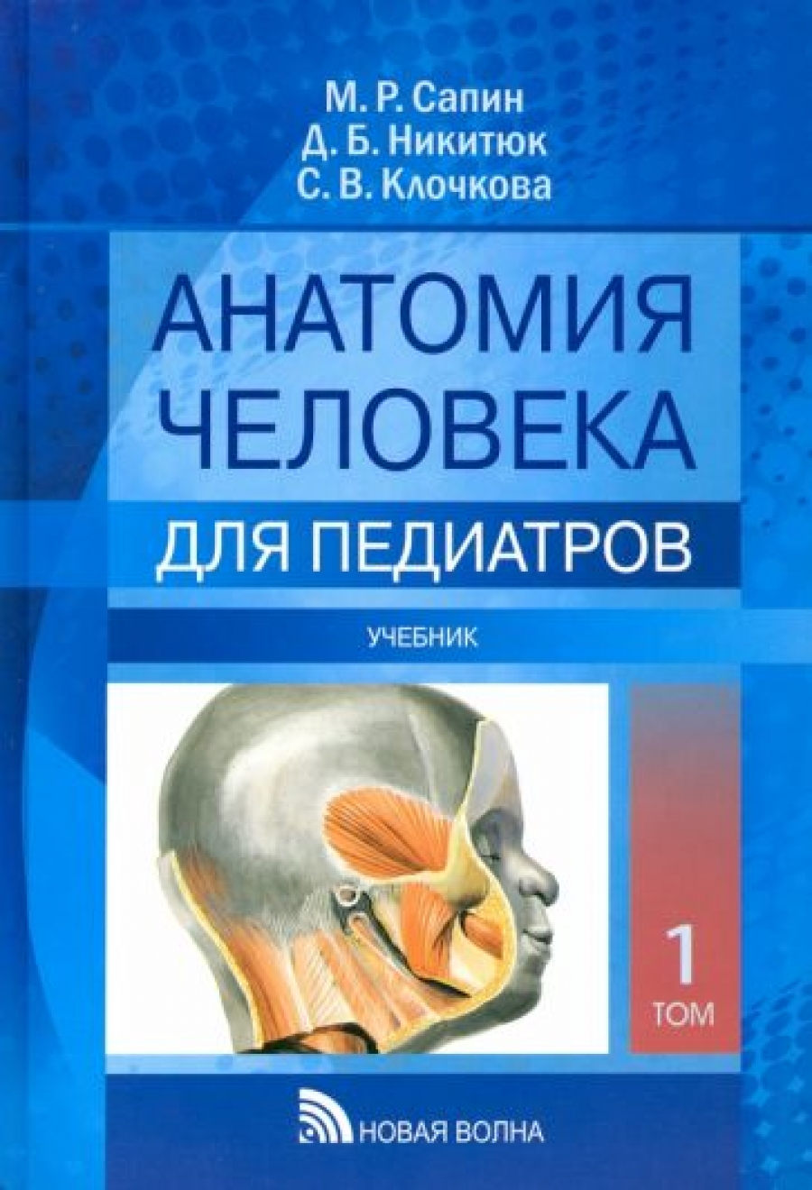 Сапин М.Р., Никитюк Д.Б., Клочкова С.В. - Анатомия человека для педиатров В 2 т.: Т. II